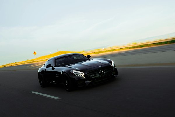 Warum ist die richtige Ernährung für Haustiere so wichtig?